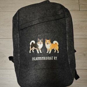 Huopareppu